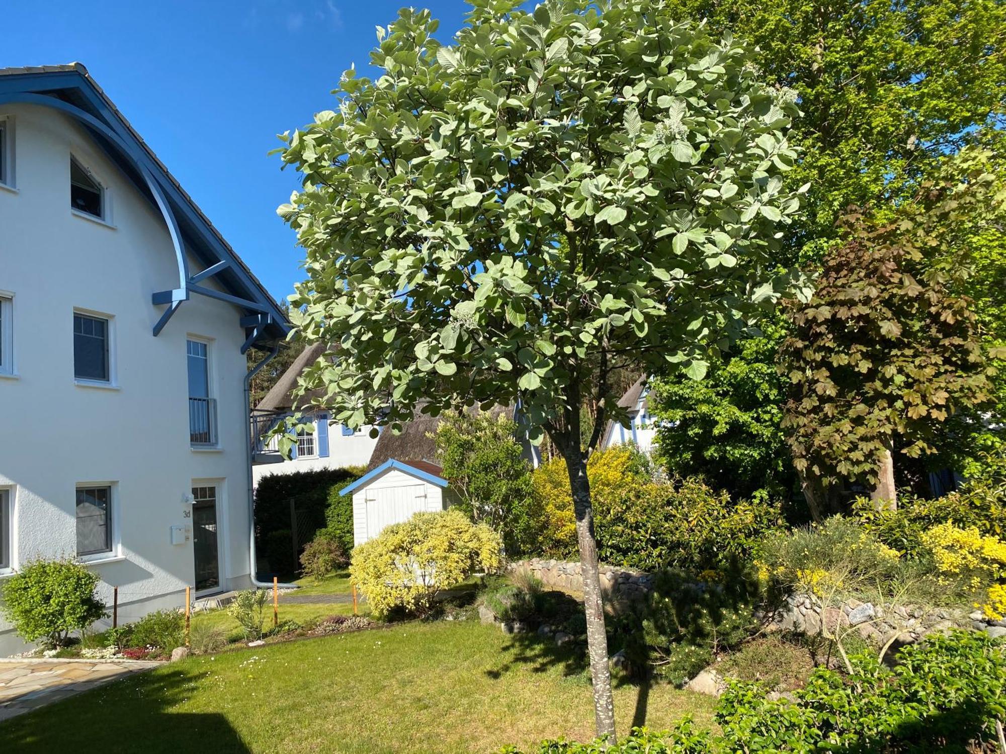 Dünenresidenz Karlshagen - Ferienwohnung Ginsterweg Exterior foto
